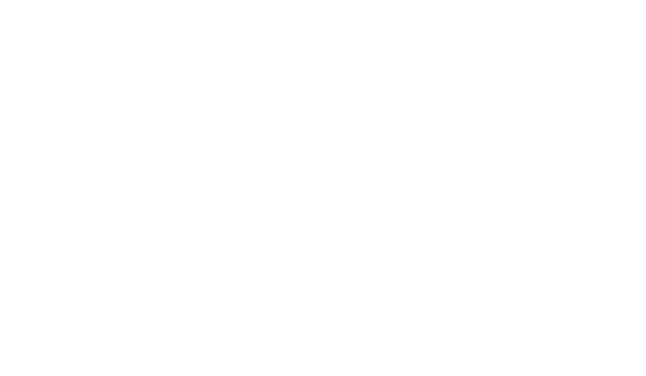 DG Corrida Simples Logo